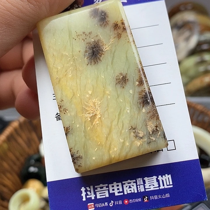 蛇纹石玉颈饰未镶嵌成**儿