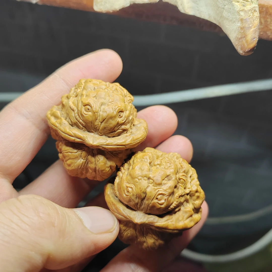 蛤蟆头核桃手工雕刻，金蟾一对手把件