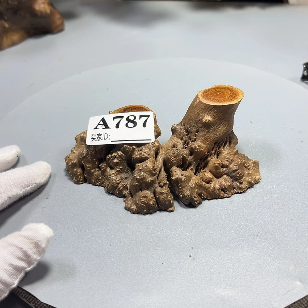 有****大果紫檀（缅甸花梨）