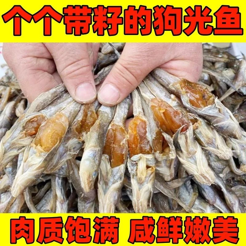 带籽狗光鱼狗杠子鱼渤海湾带籽小咸鱼狗刚鱼胖头鱼500克油光鱼