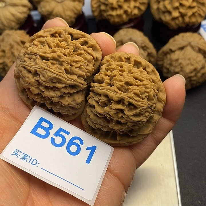 核桃南疆4.5，0000000