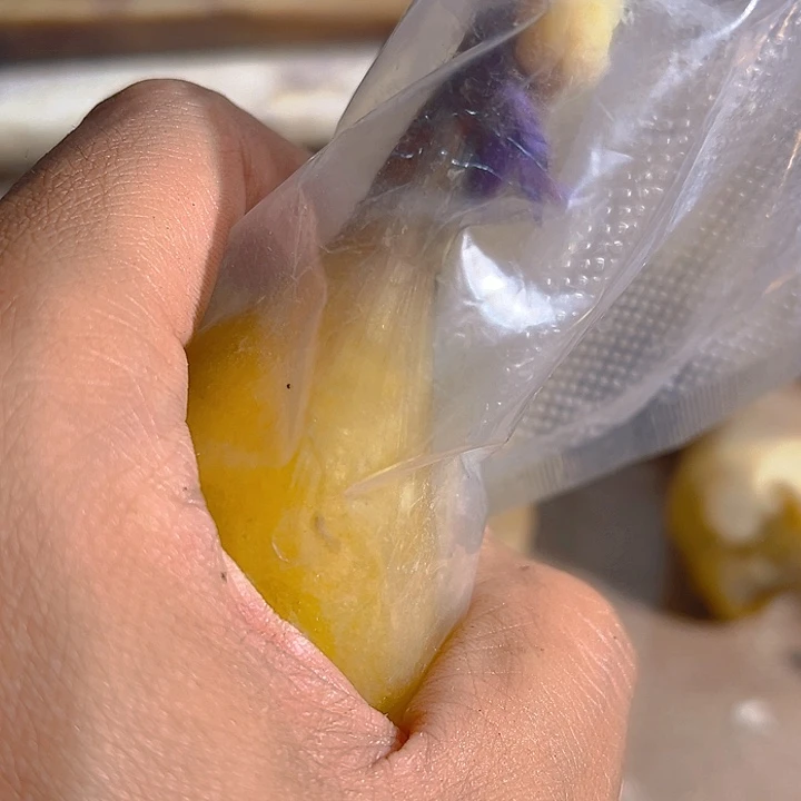 牛*ZX能胆胆胆胆胆胆