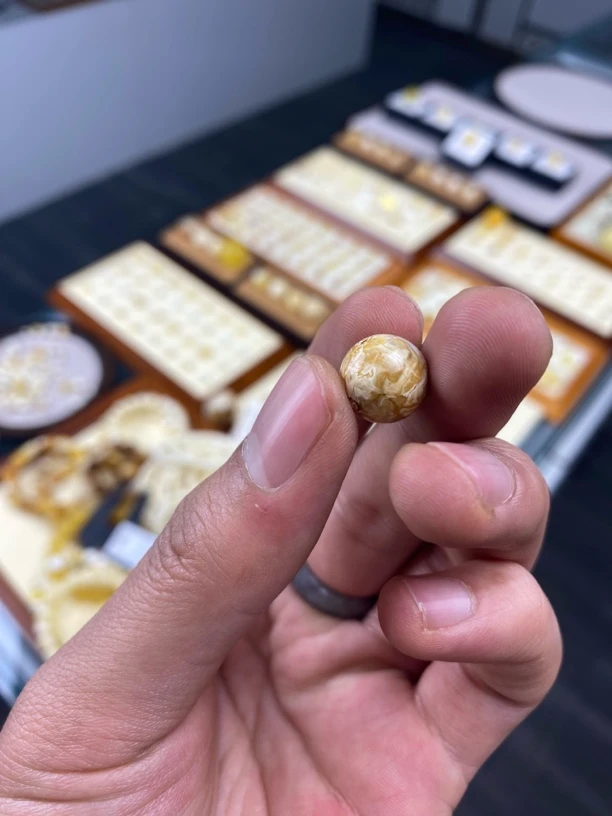 卧龙凤雏—蜜蜡单株11.8