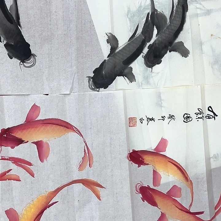 横款开播时间每周五晚上八