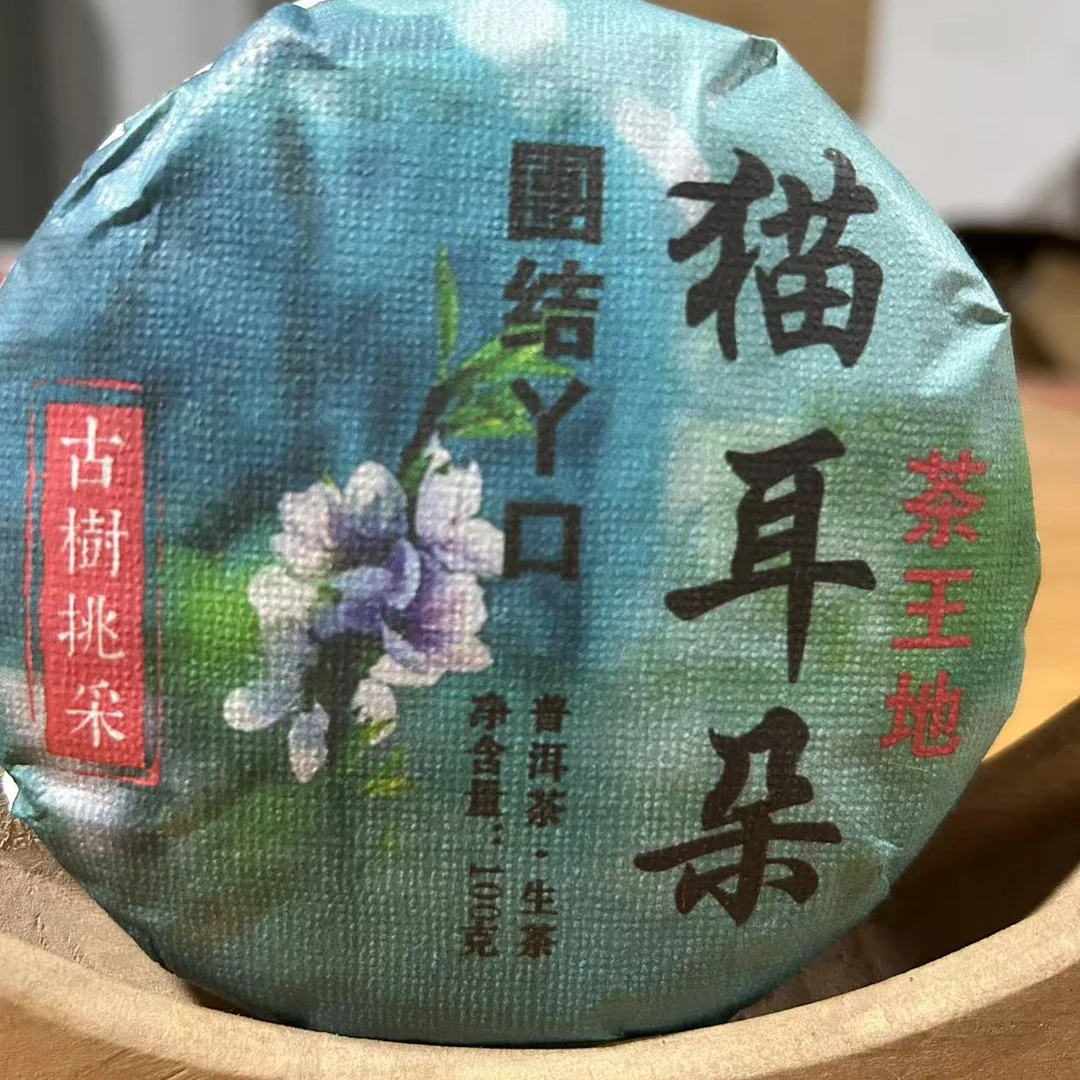 团结丫口茶王地猫耳朵古树挑采