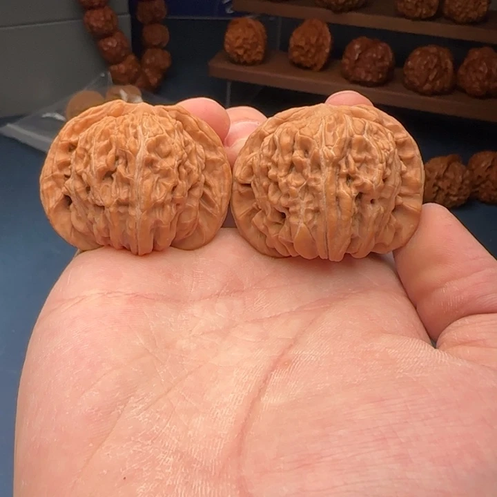 L45-40-36一代楼A18号