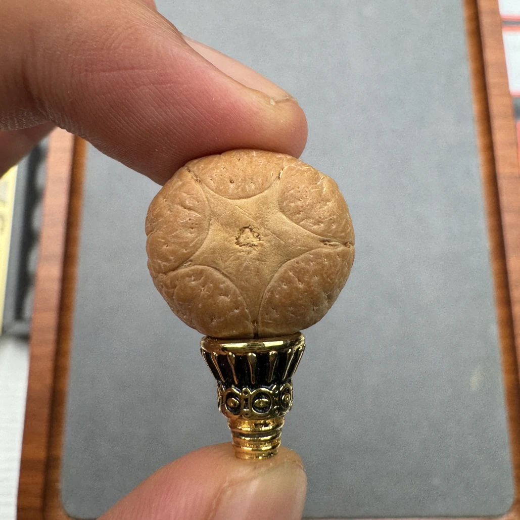 19+五星上将菩提凤眼手串三通佛头，非质量问题开孔不退ck2600