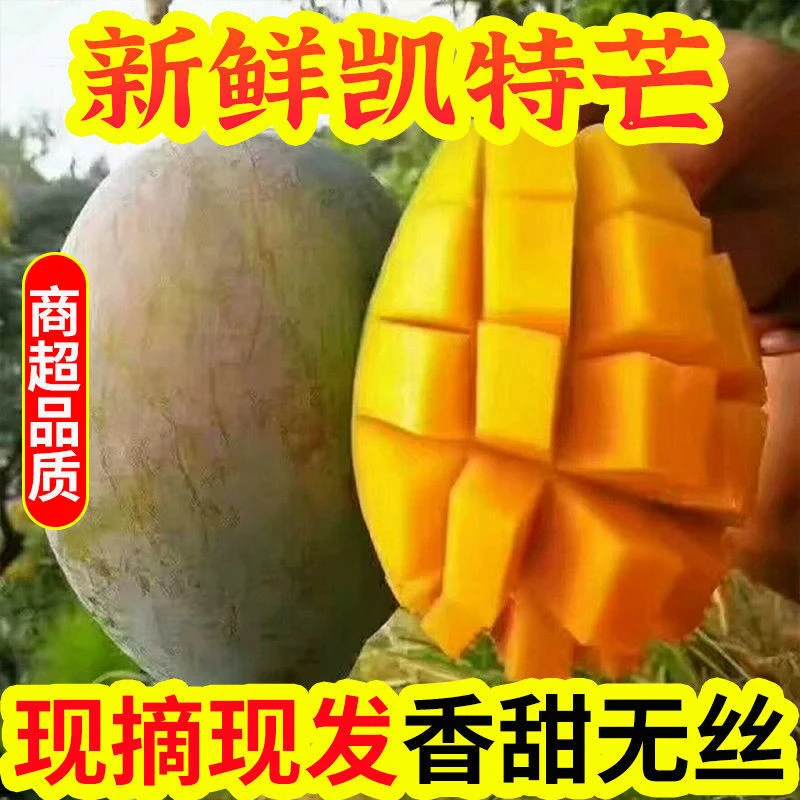 【放软再吃】攀枝花凯特芒果青皮大芒果孕妇水果新鲜现摘当季
