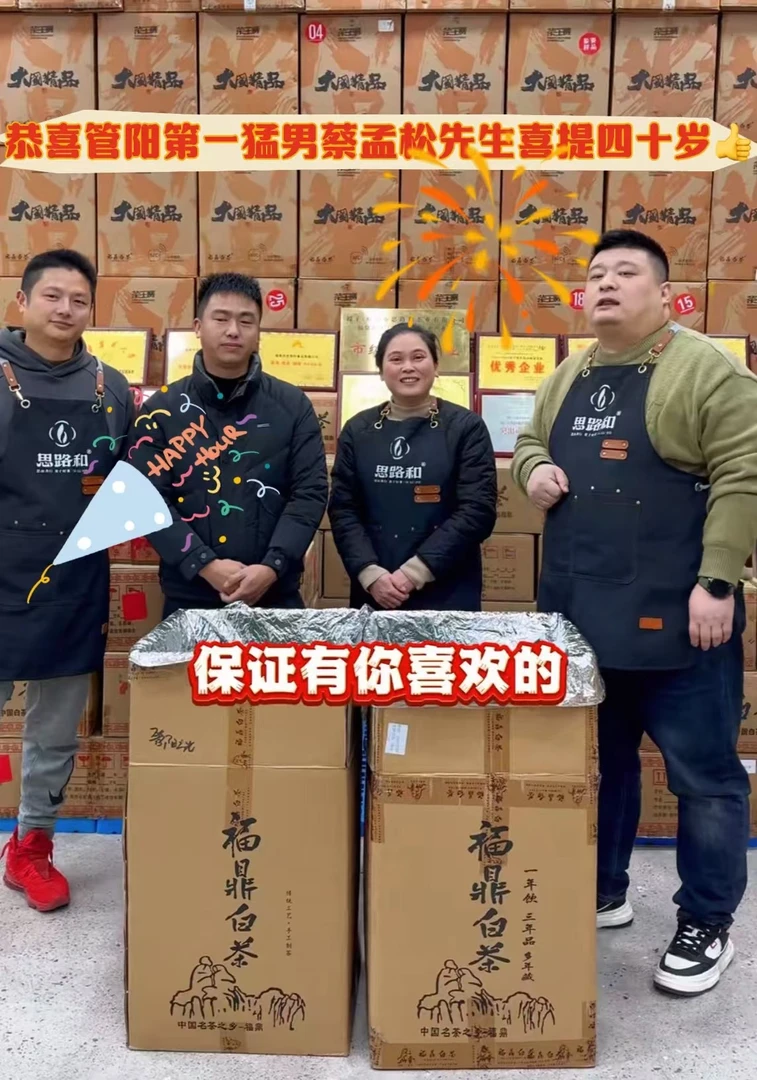 【思路和·专场】2024年白毫银针方砖100g