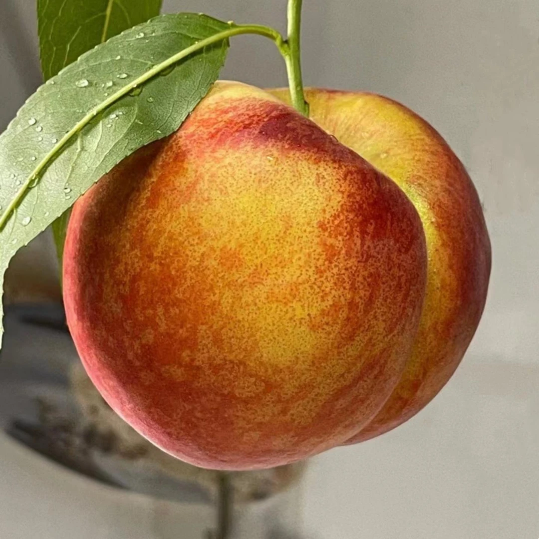 彩虹黄桃枣阳黄金蜜新鲜水果整箱现摘露天湖北当季纯甜孕妇脆桃子