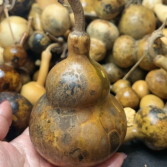 ꧁**꧂葫芦葫芦葫芦葫芦