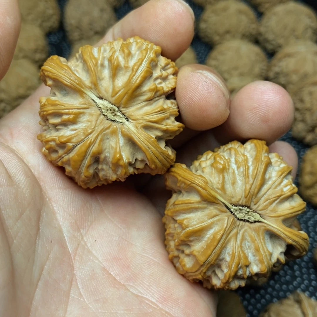 蜡***笔文玩核桃把件42白狮子