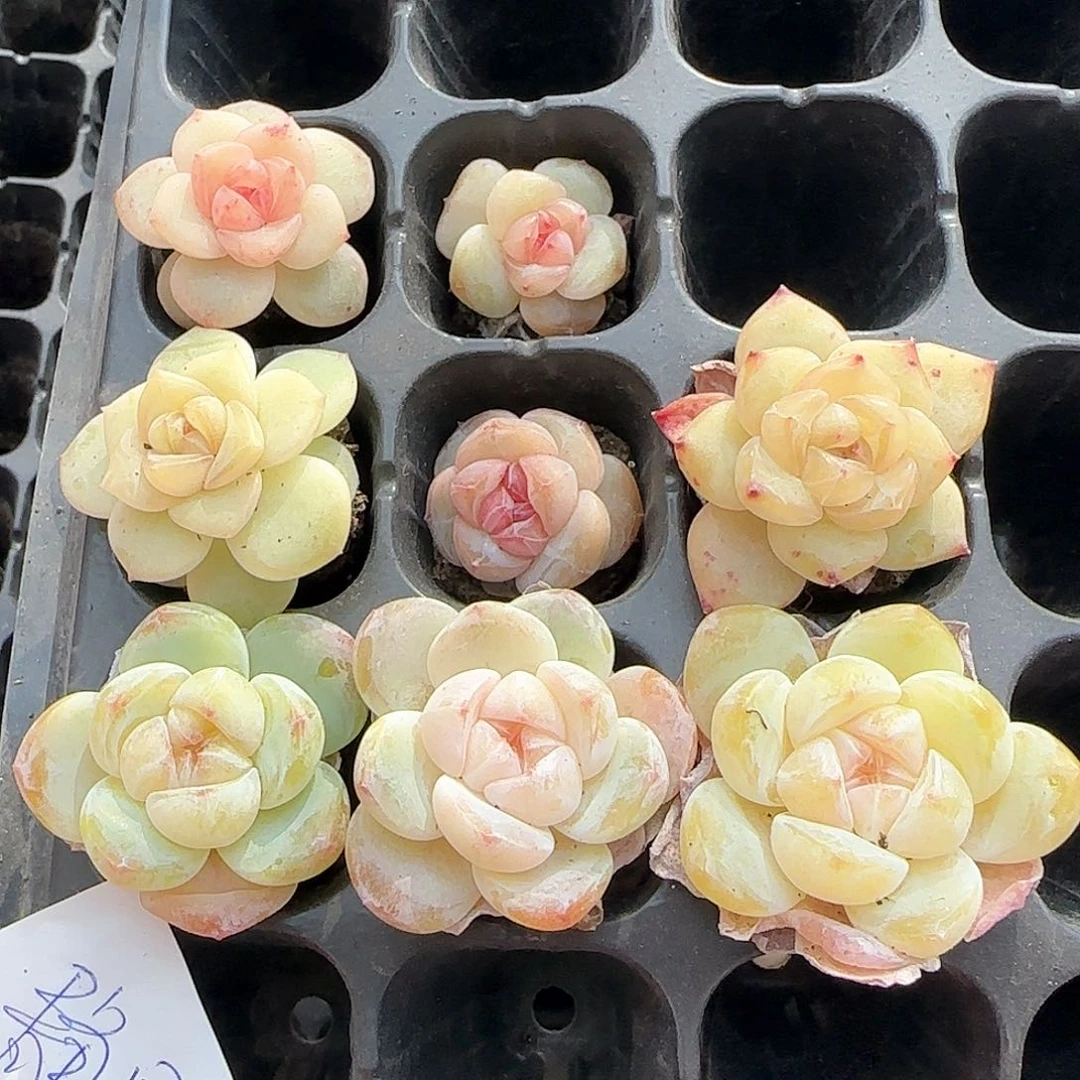 哈哈哈哈哈哈哈哈哈