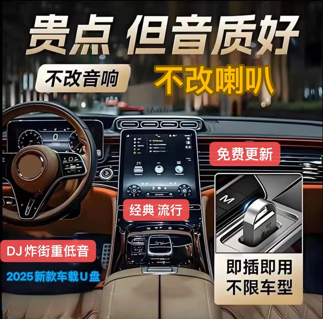 1DJ炸街重低音车载音质音乐U盘32G（无视频dj2025新款歌曲）车载U盘