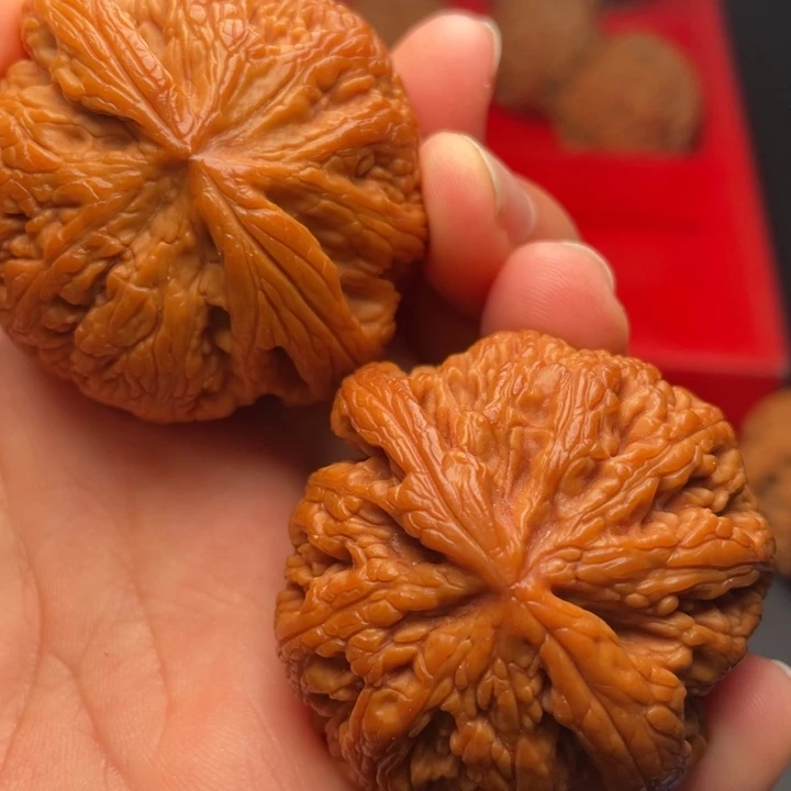 文玩核桃把件秦岭山脉