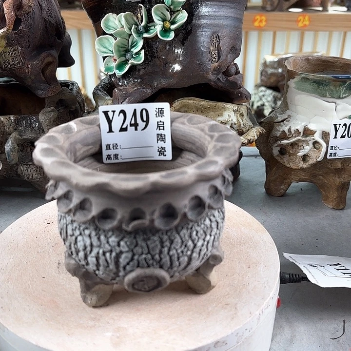 紫砂花盆景德镇陶瓷多肉249