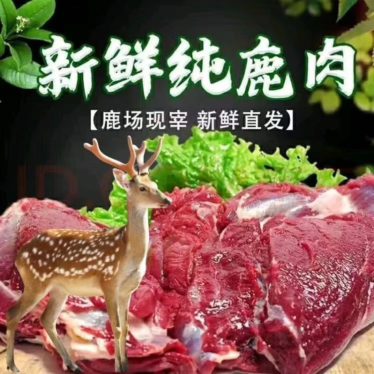 新鲜鹿肉肉质鲜美红烧清炖烧烤香煎国产源头直供