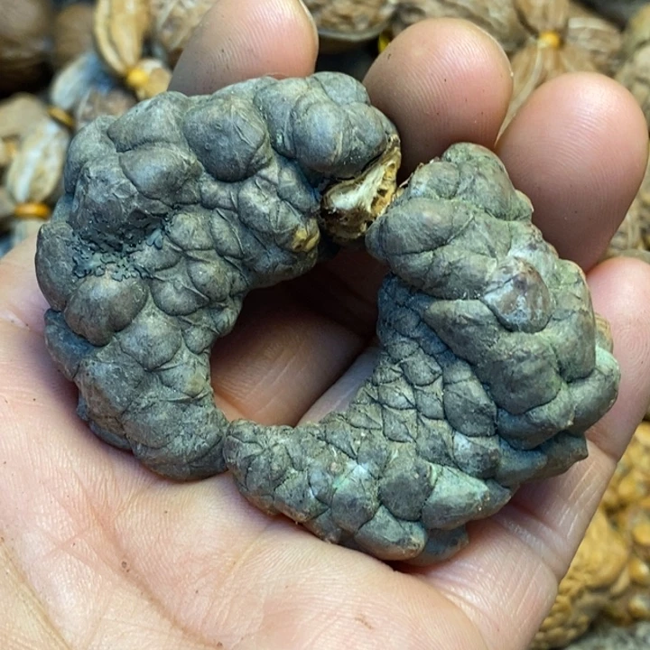 吊坠桃核娜姐真的69