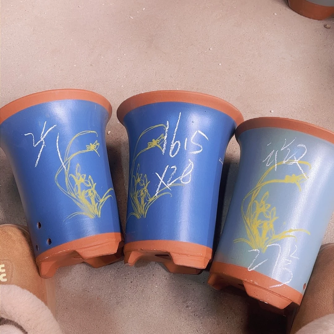 紫砂27。。………………………………