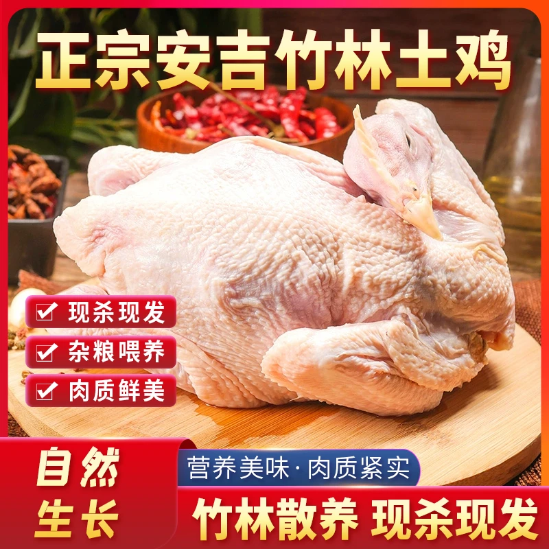 安吉竹林土鸡农家散养童子鸡肉质鲜嫩五谷饲养冷链配送新鲜到家