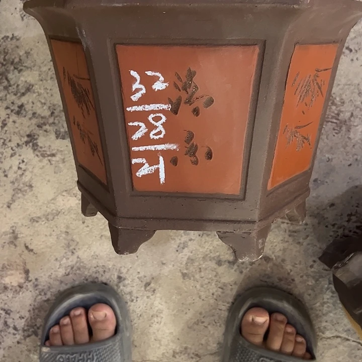 紫砂艺术学院美术