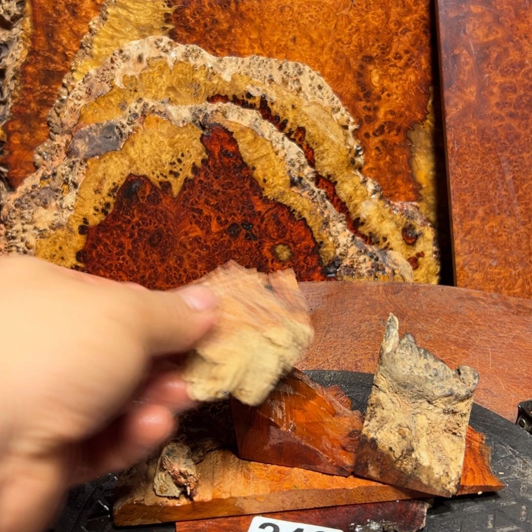 大果紫檀（缅甸花梨）