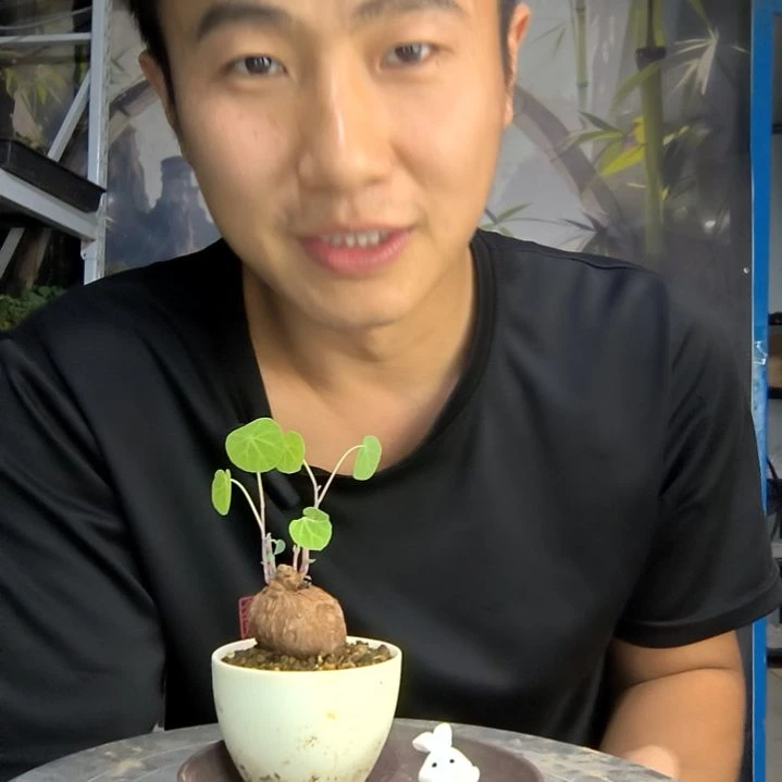 大*中青园艺一物一拍127