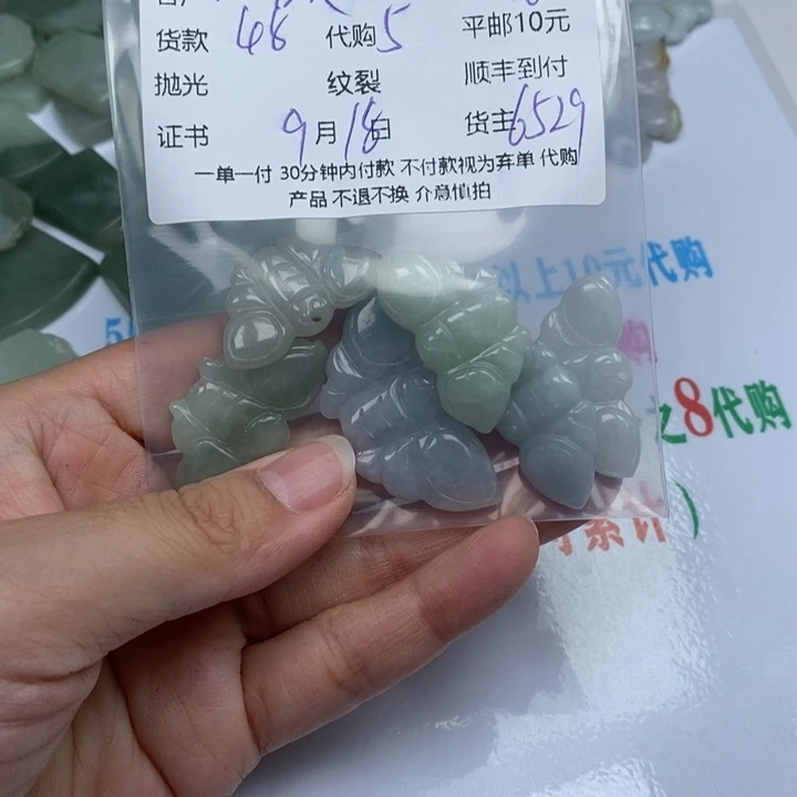 沐***芳颈饰未镶嵌翡翠翡翠