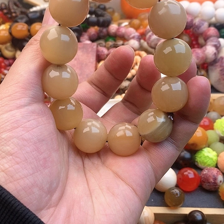 大果紫檀（缅甸花梨）20m