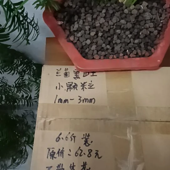 晨***飞兰菌黑山土小颗粒6.6斤