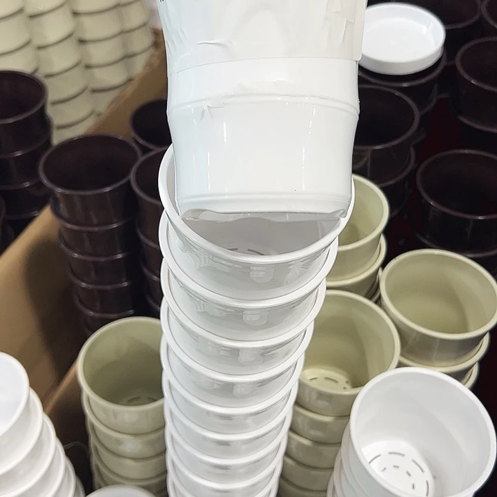 特价竹节口10高10米色带托10只