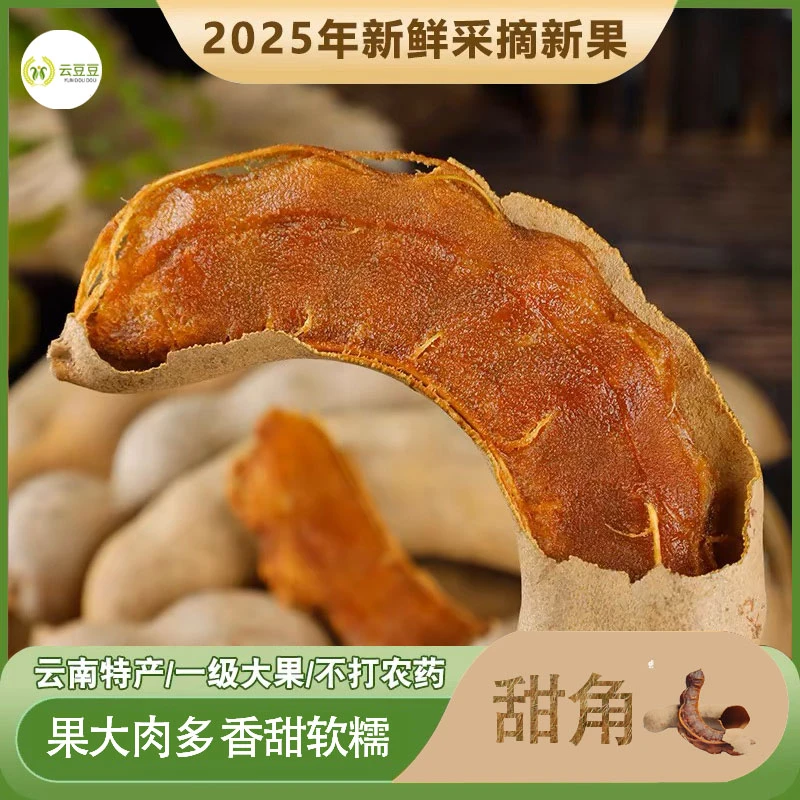 【酸甜角】云南特产甜角新鲜大果罗望子高纤维孕妇零食顺丰包邮