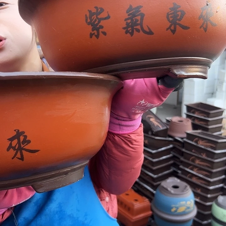30+30小红花盆花盆花盆