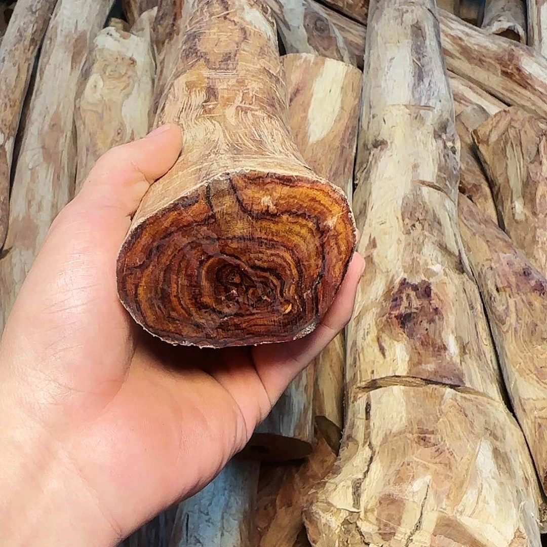 黄花梨/降香黄檀?**蜂