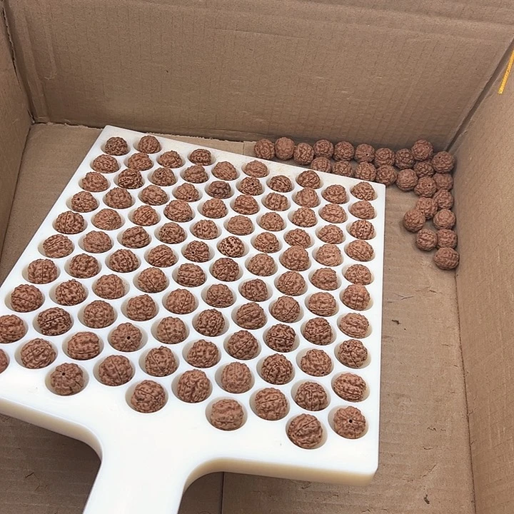 金刚菩提手串相*好评