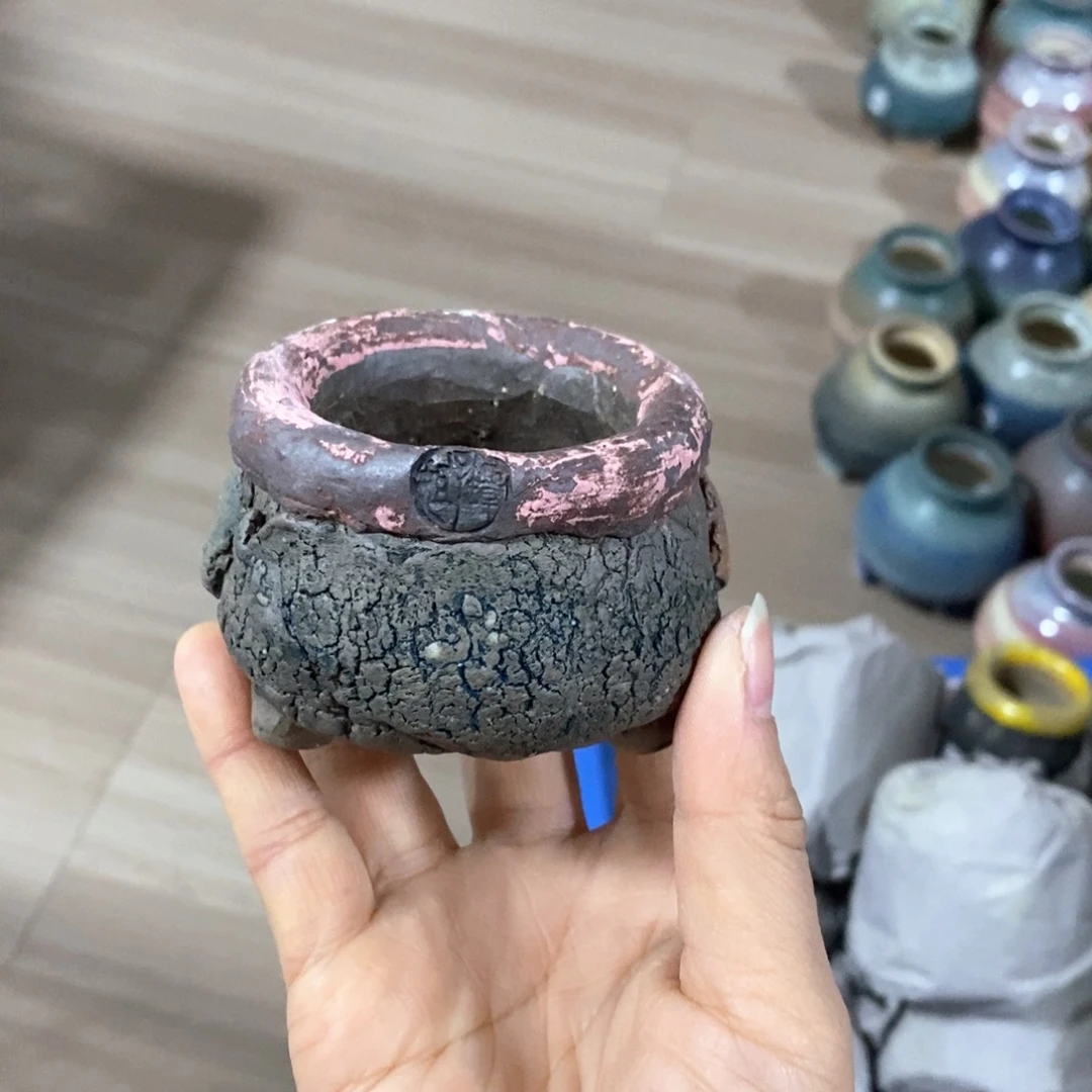 夕****］花盆拍3送一个小礼物