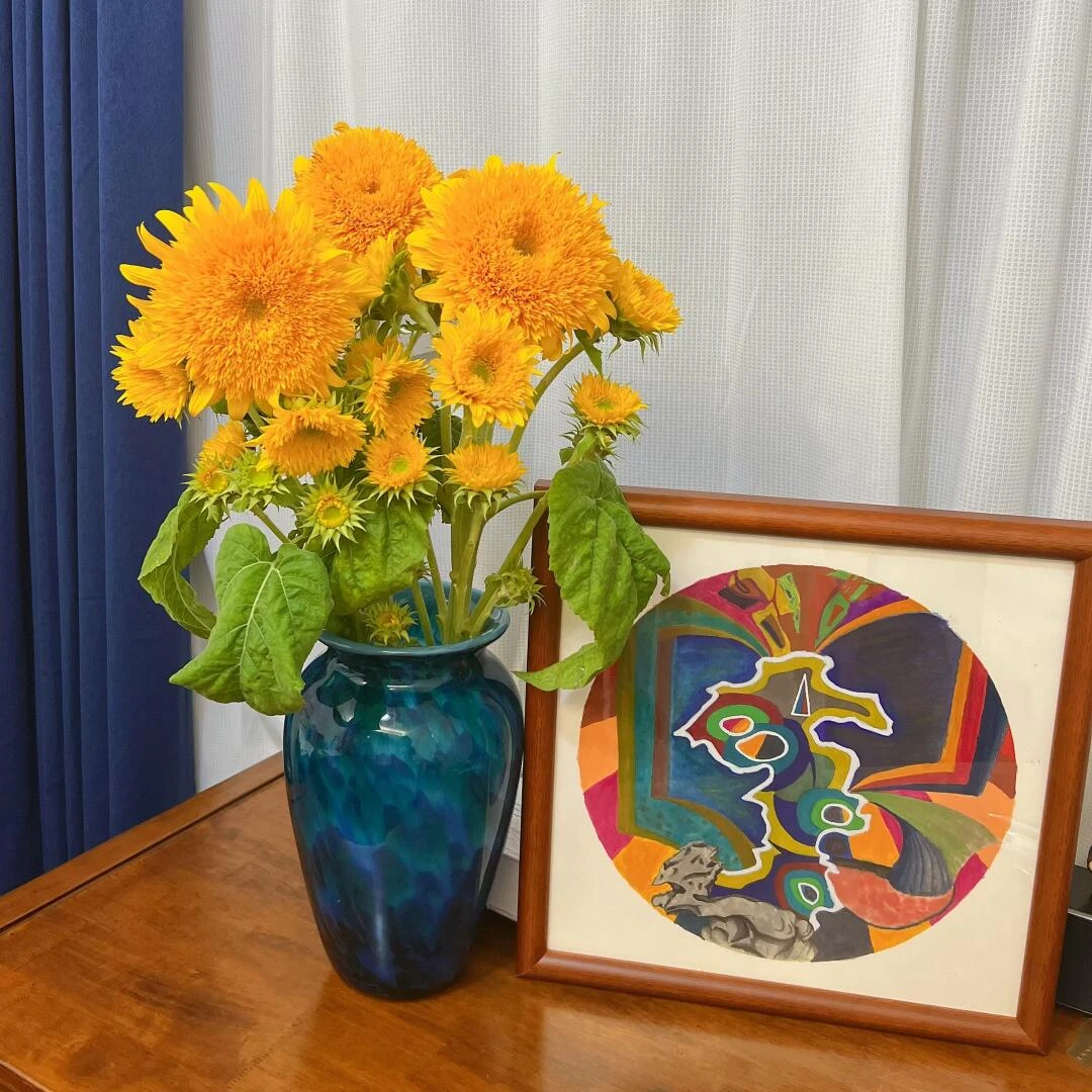 【泰迪向日葵】鲜花云南基地直发家用水养插花鲜切花昆明直批云舍