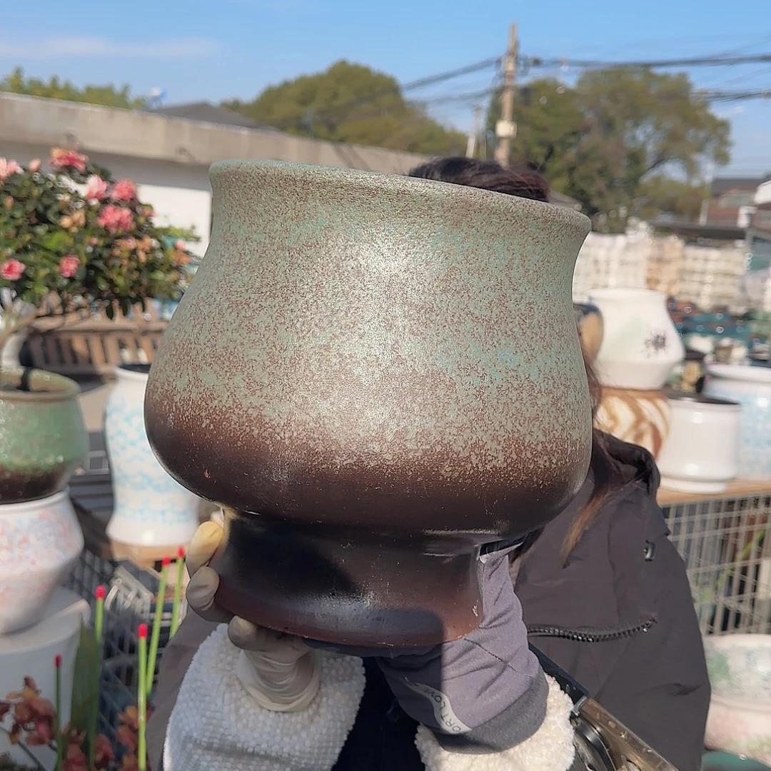 王嫂花盆直播1130-405高25口22