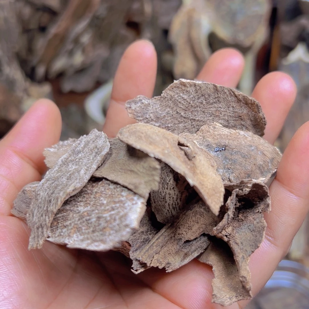 树脂制品刀****）国香壳子料11.3克