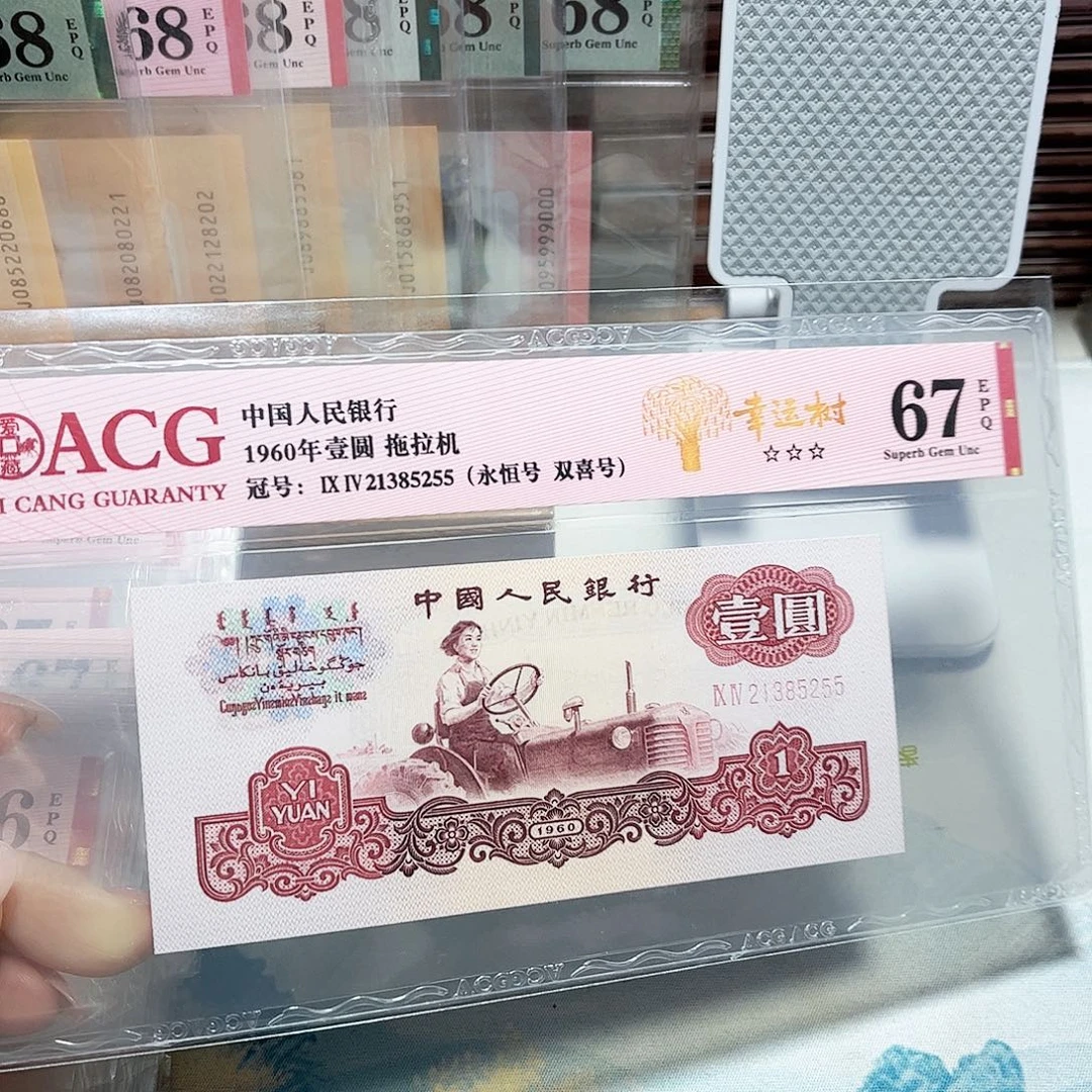 21385255。。。。幸运树