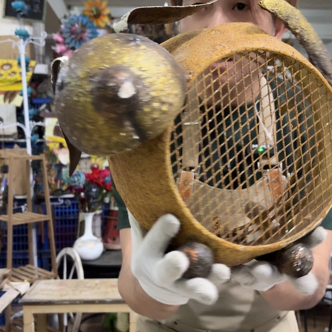 核桃木/黑胡桃（胡桃木）