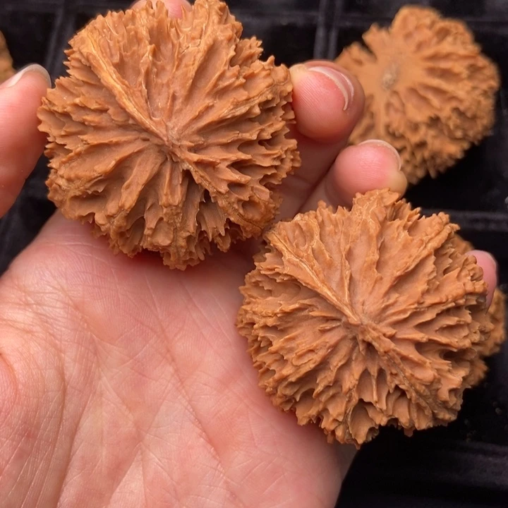 文玩核桃手串秦岭核桃