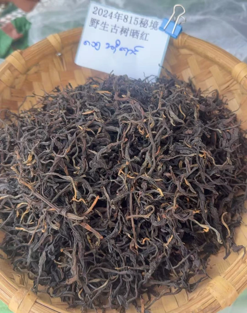 古树散茶2024年815秘境野生古树晒红SJi0027-968号