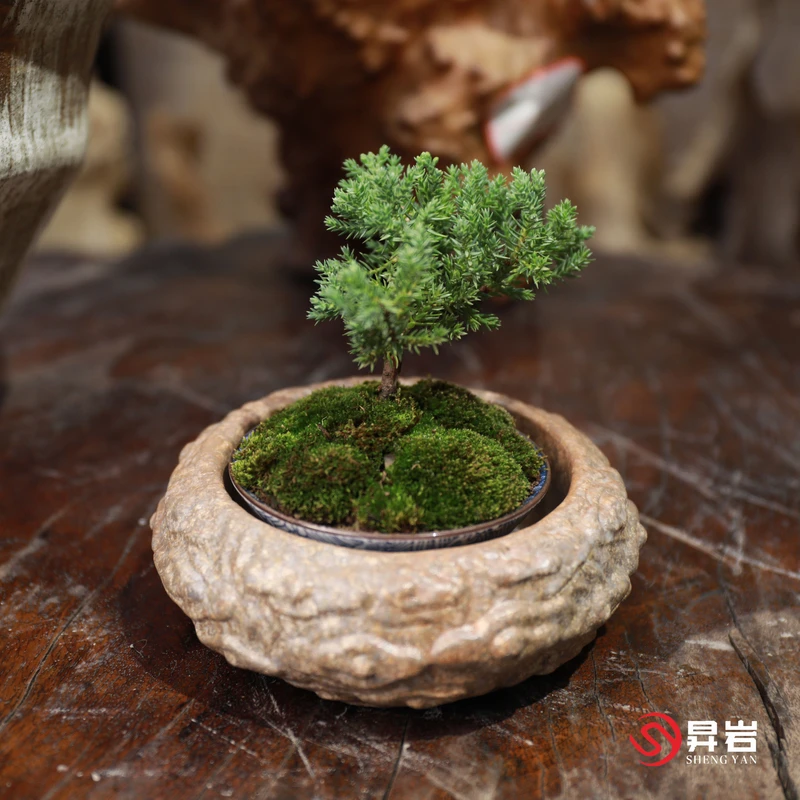 昇岩祥云花器家用复古茶桌摆件禅意手工