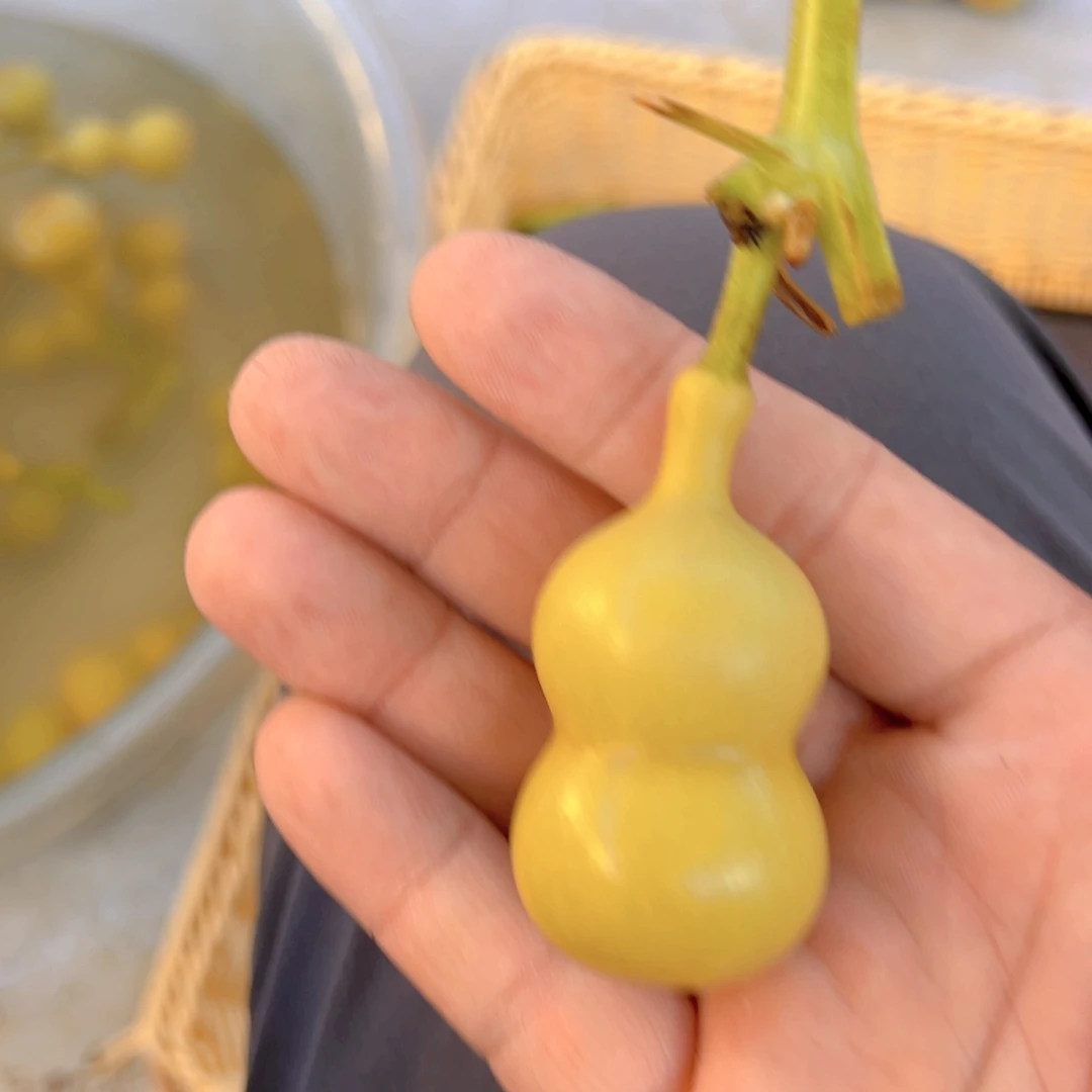 X***.天津嘴儿葫芦葫芦