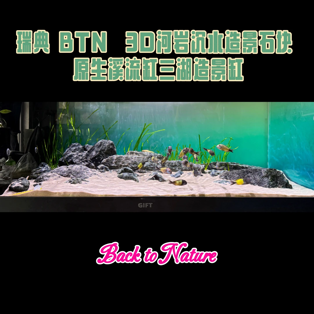 瑞典Back to Nature 3D河岩沉水造景石块 原生溪流缸三湖造景缸