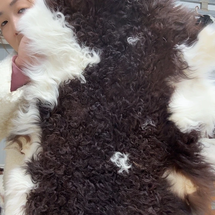 双面款羊皮羊羔皮