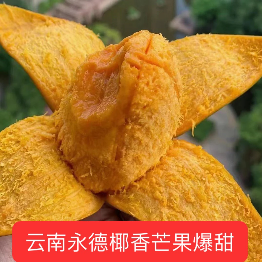 【限20单】云南永德当季新鲜鸡蛋芒绿皮老品种椰香芒果甜心水果