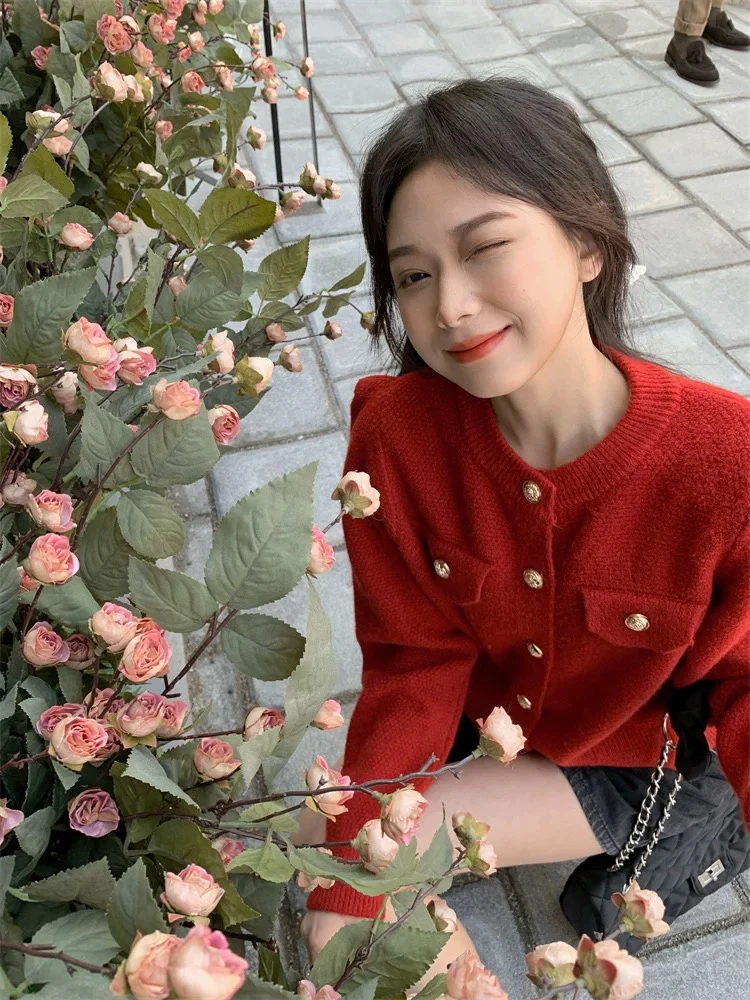 设计感秋季百搭网红短款上衣复古毛针织衫秋冬宽松树脂固色