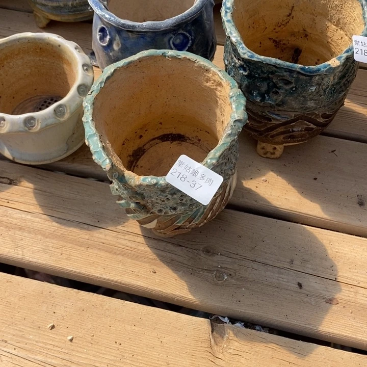 红陶多****637号多肉盆一个呀